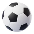 Voetbal
